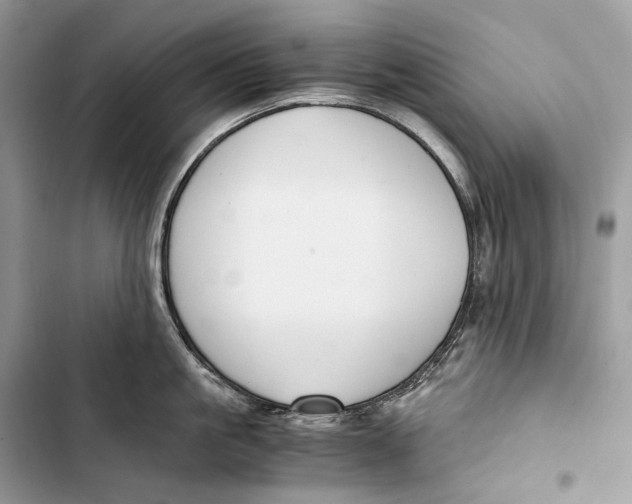 X0000103480861200810031541