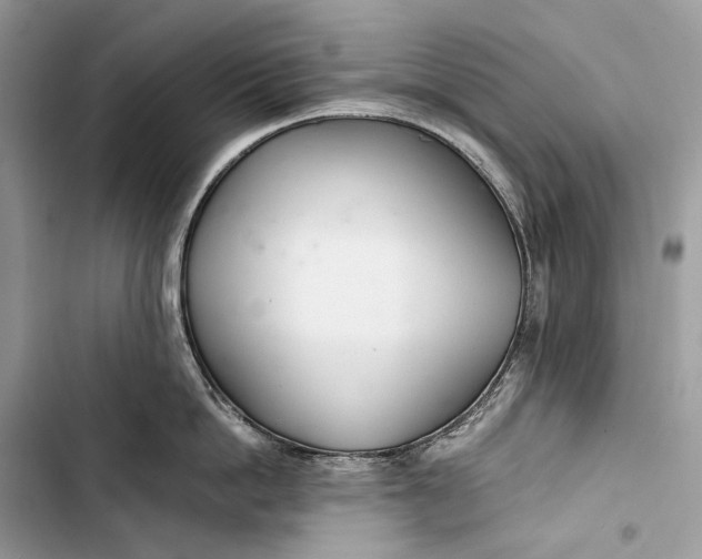 X0000103480862200810031541