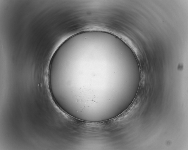 X0000103480863200810031541