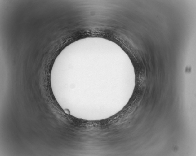 X0000103480865200810031541