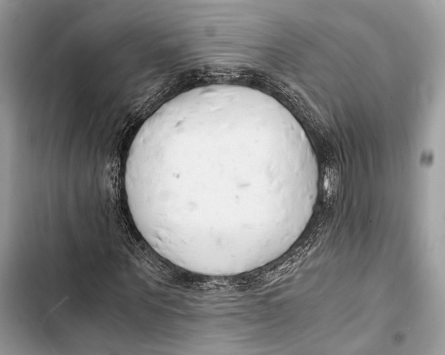 X0000103480867200810031541