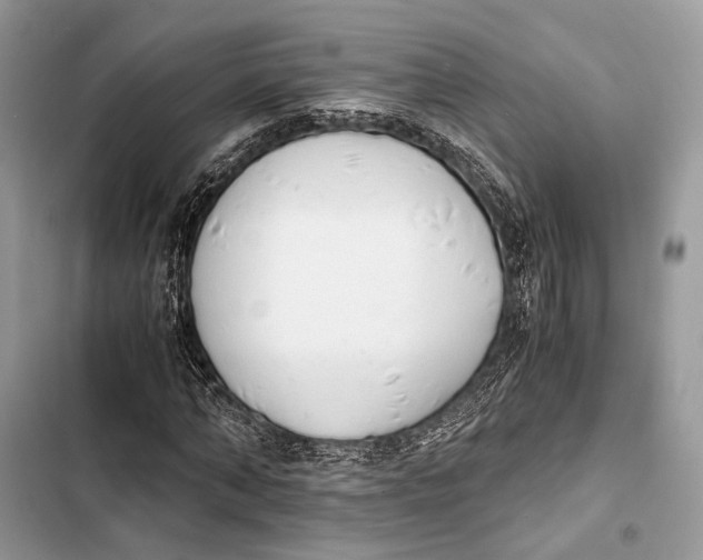 X0000103480870200810031541