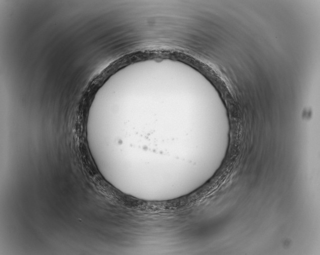 X0000103480871200810031541