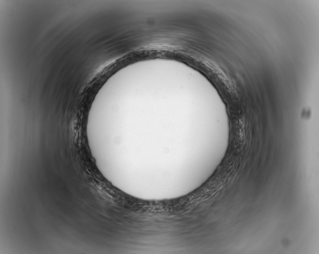 X0000103480872200810031541