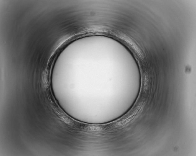 X0000103480878200810031540