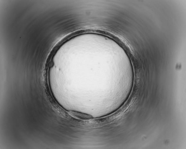 X0000103480879200810031540