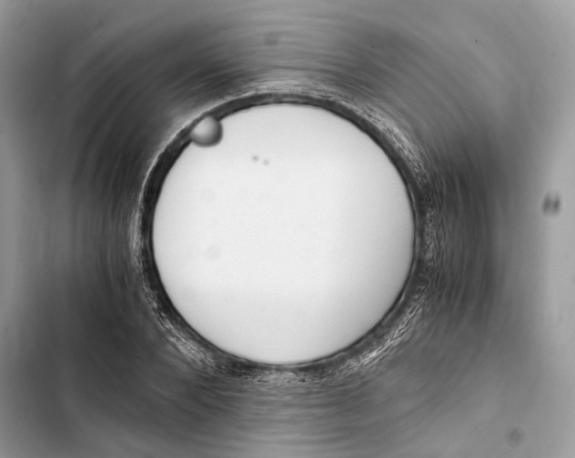 X0000103480880200810031540