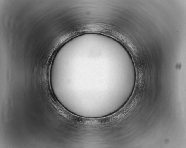 X0000103480882200810031540