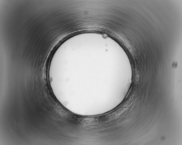 X0000103480883200810031540