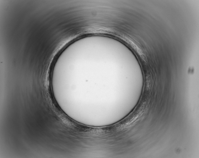 X0000103480885200810031540