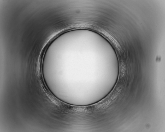 X0000103480886200810031540