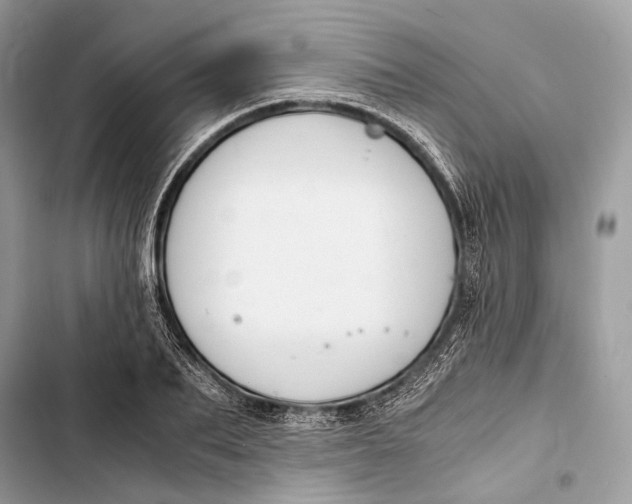 X0000103480887200810031540