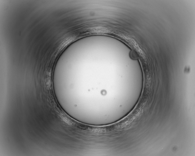 X0000103480889200810031540