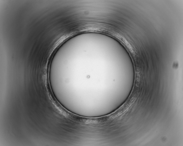 X0000103480890200810031540