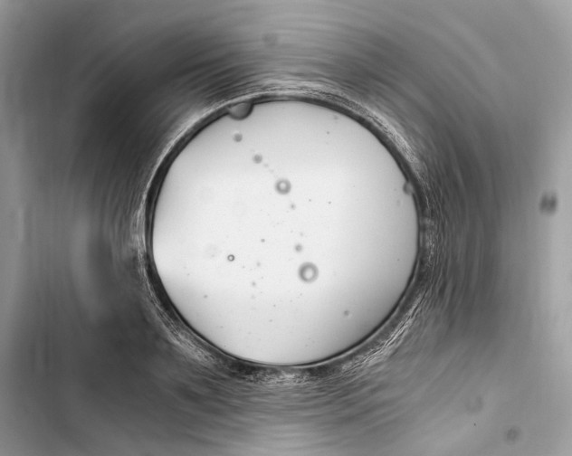 X0000103480891200810031540