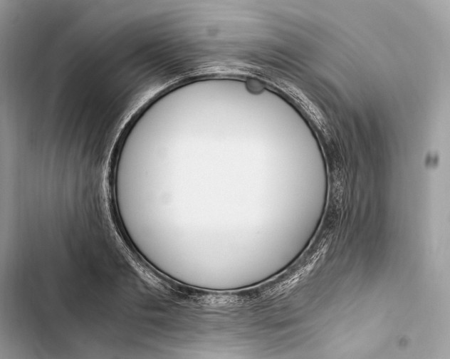 X0000103480893200810031540