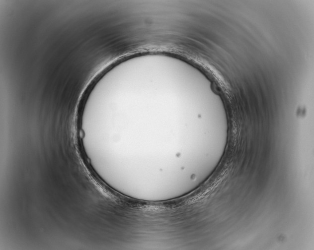 X0000103480894200810031540