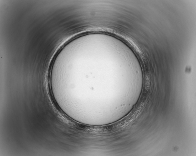 X0000103480895200810031540