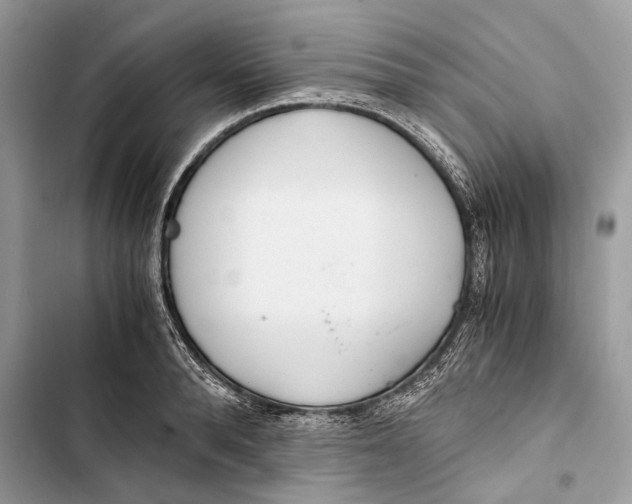 X0000103480896200810031540