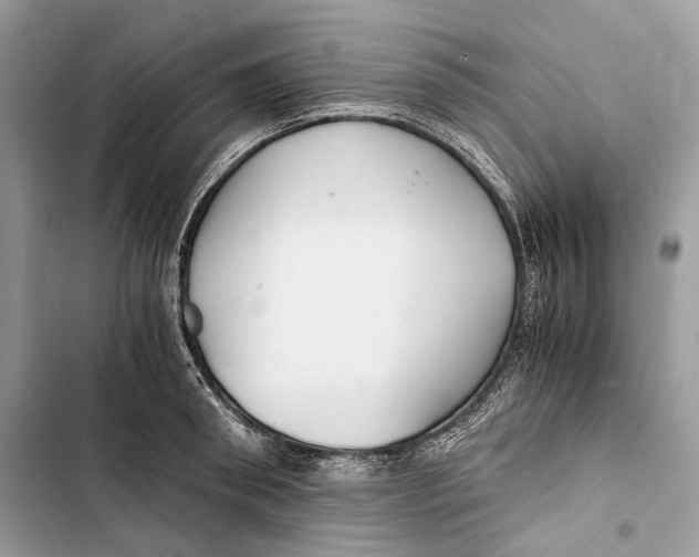 X0000103480898200810031540