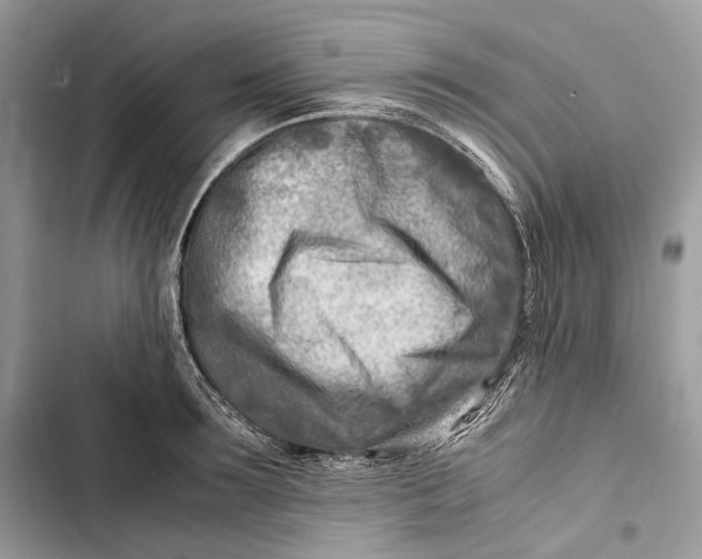 X0000103480899200810031540