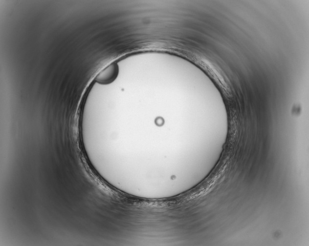 X0000103480900200810031540