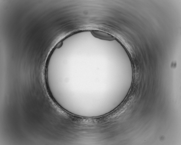 X0000103480901200810031540