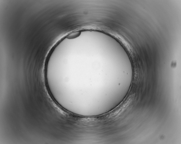 X0000103480902200810031540