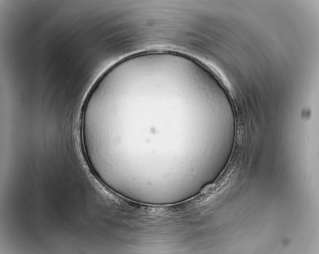 X0000103480903200810031540