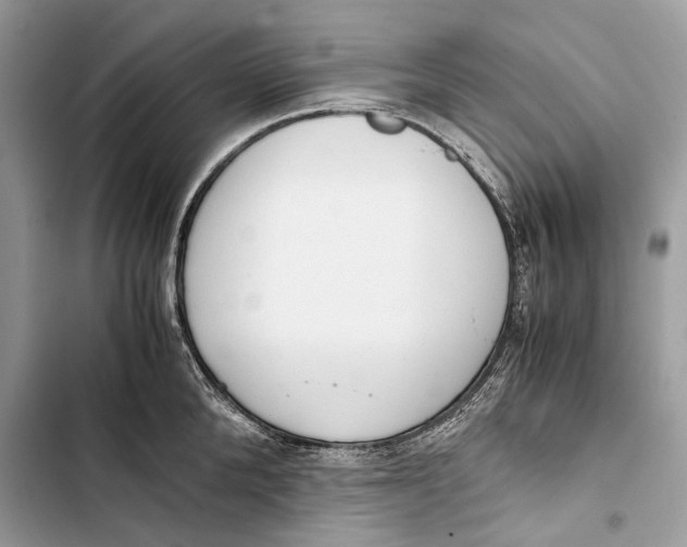 X0000103480904200810031540