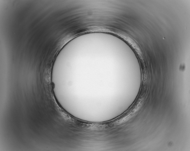 X0000103480905200810031540