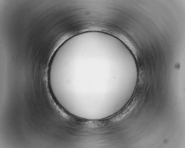 X0000103480906200810031540