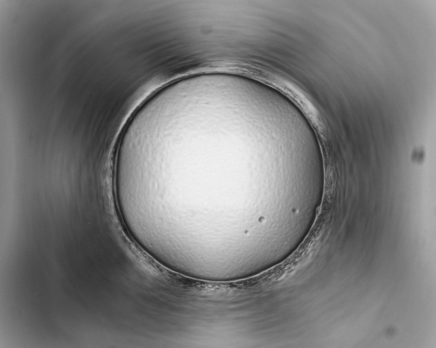 X0000103480907200810031540