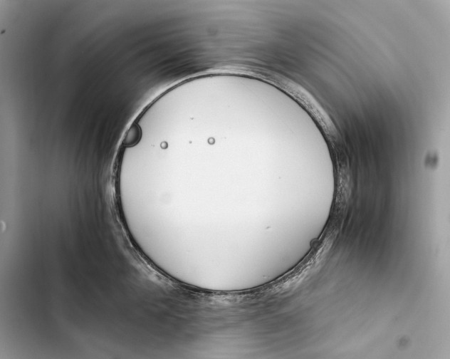 X0000103480908200810031540