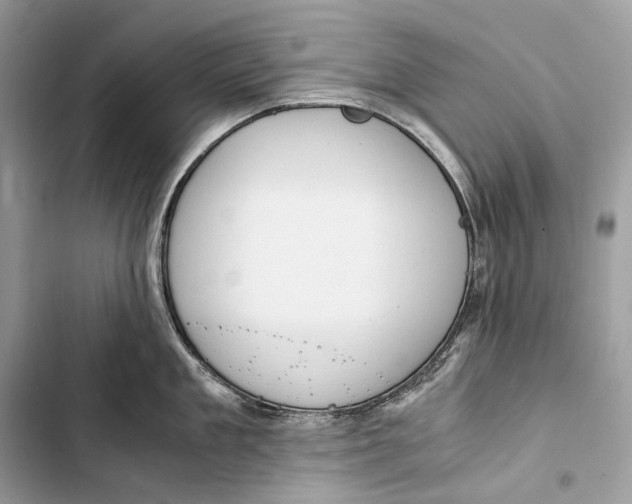 X0000103480909200810031540