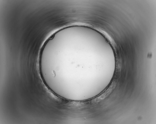 X0000103480910200810031540