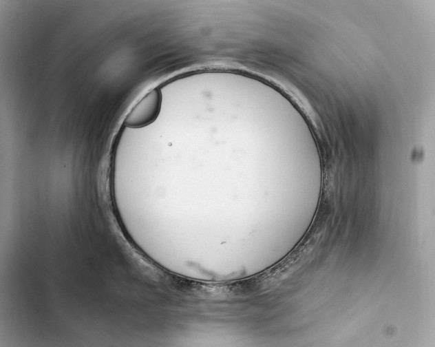 X0000103480911200810031540