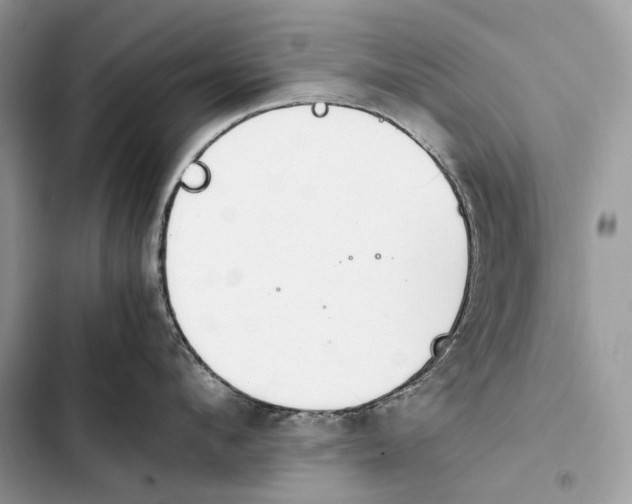 X0000103480912200810031540