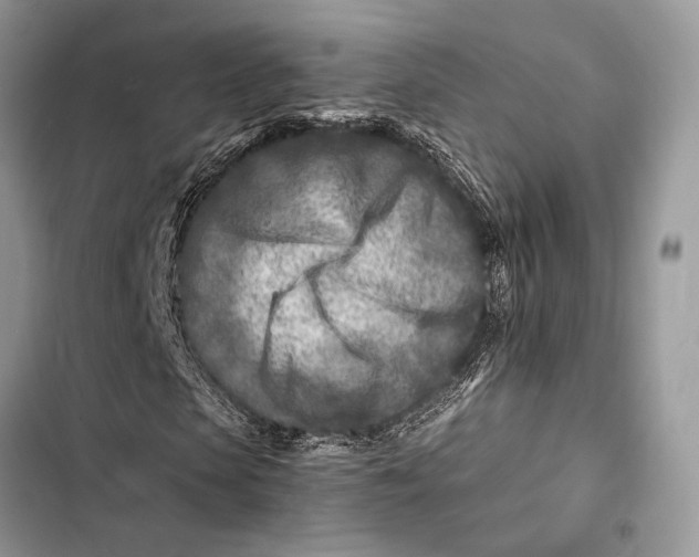 X0000103480913200810031539