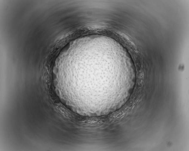 X0000103480917200810031539