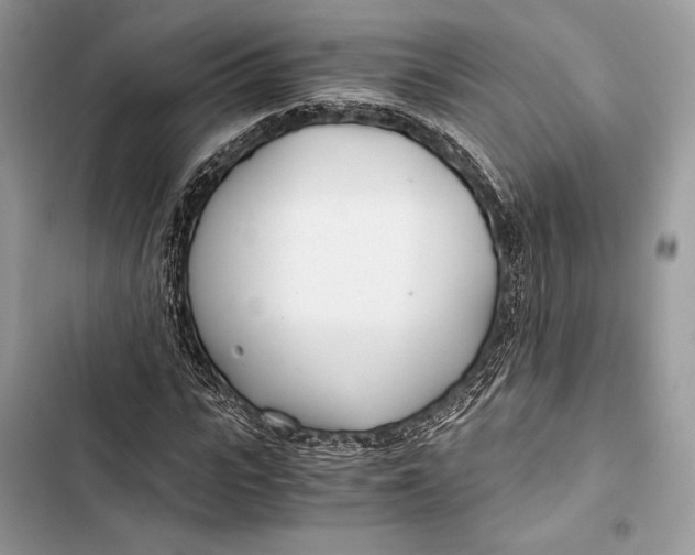 X0000103480919200810031539