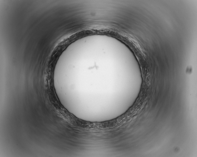 X0000103480920200810031539