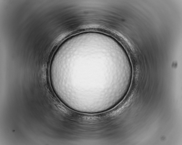 X0000103480921200810031539