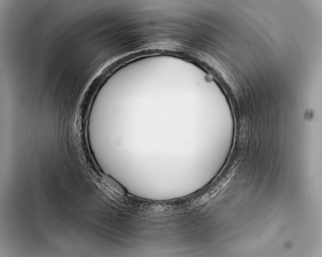 X0000103480923200810031539