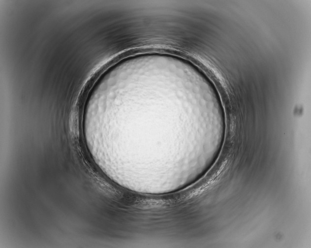 X0000103480925200810031539