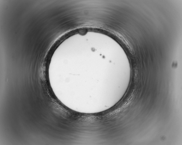 X0000103480926200810031539