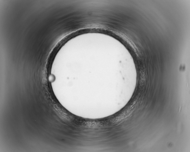 X0000103480927200810031539