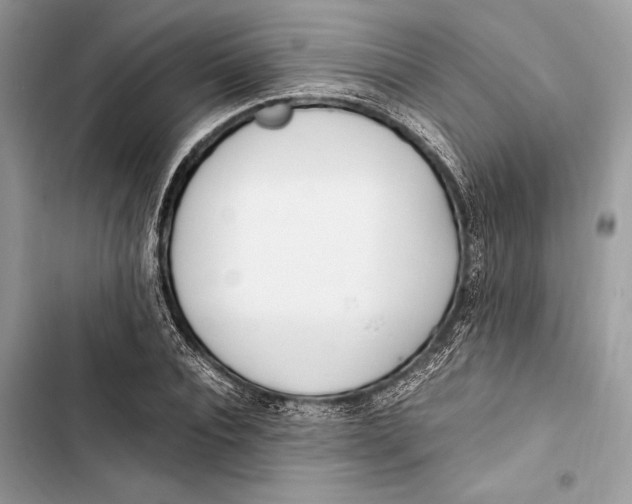 X0000103480928200810031540