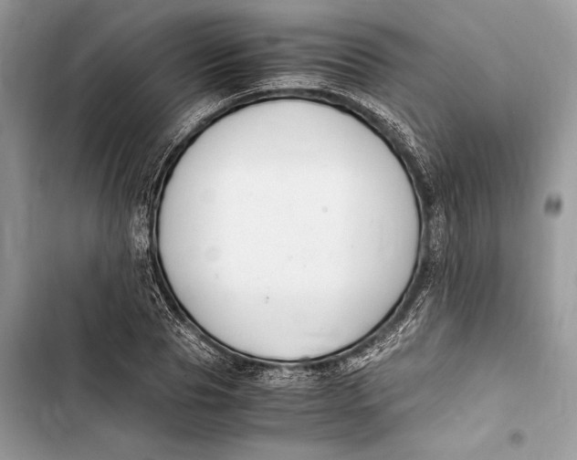 X0000103480929200810031540