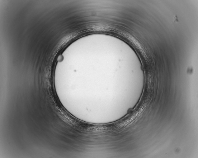 X0000103480930200810031540